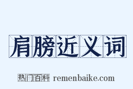 肩膀近义词是什么意思的图片